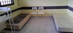 Blk 121 Bukit Batok Central (Bukit Batok), HDB Executive #522675331